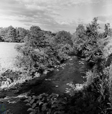 River Cover near Coverham Abbey